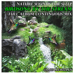 Nature Sounds for Sleep: Birdsong by the Stream