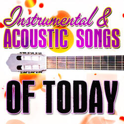 Story of My Life (Originally Performed by One Direction) [Instrumental Acoustic Version]
