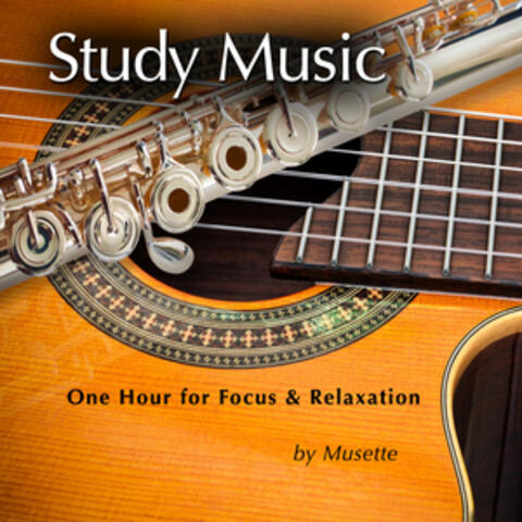 Study Music (Classical Guitar & Flute at the Beach)