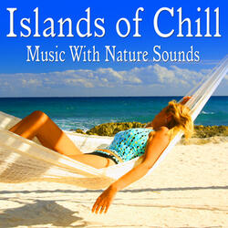 Relaxing Island Melody with Sooth Bird Songs