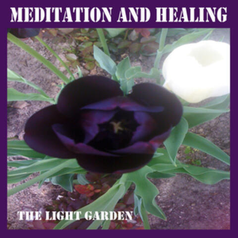 Meditation and Healing