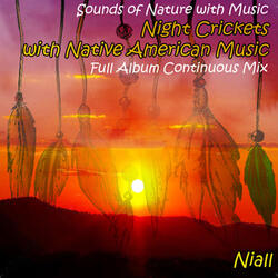 Sounds of Nature with Music: Night Crickets with Native American Music