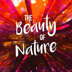 Birds at the Resevoir