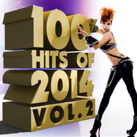 100% Hits of 2014, Vol. 2
