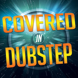 Party Up (Up in Here) [Dubstep Remix]
