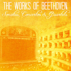 Sonata in B-Flat Major for Flute and Piano: I. Allegro moderato
