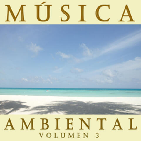 Música Ambiental Vol. 3
