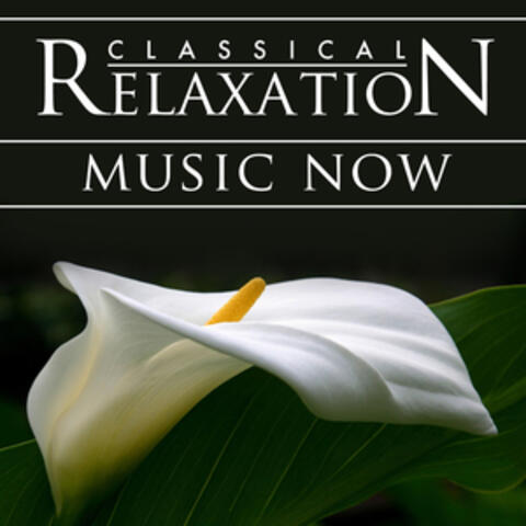 Classical Relaxation Music Now! Modern Hit Songs Go Orchestral