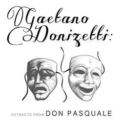 Don Pasquale, Act II, Scene 2: "Quando avrete introdotto"