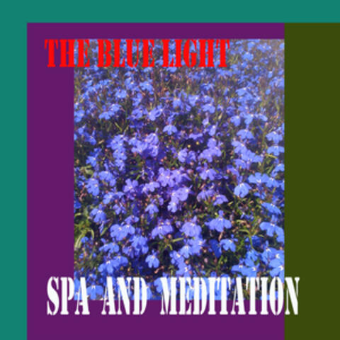 Spa and Meditation