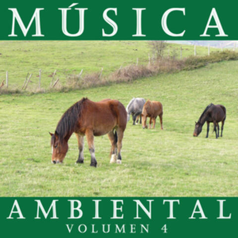 Música Ambiental Vol. 4