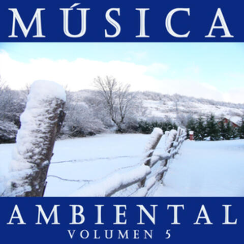 Música Ambiental Vol. 5