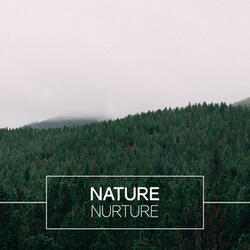 Woodland Life