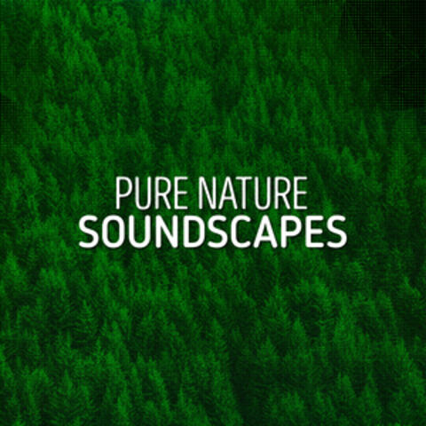 Pure Nature Soundscapes