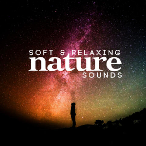 Soft & Relaxing Nature Sounds