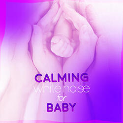 White Noise: White Noise