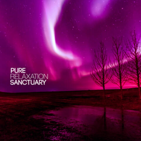 Pure Relaxation Sanctuary