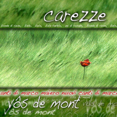 Carezze