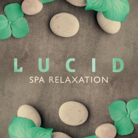 Lucid Spa Relaxation