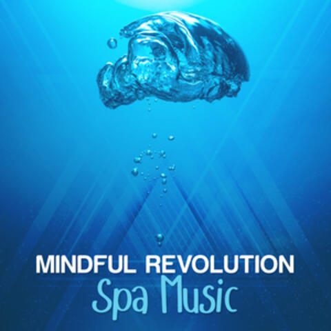 Mindful Revolution: Spa Music