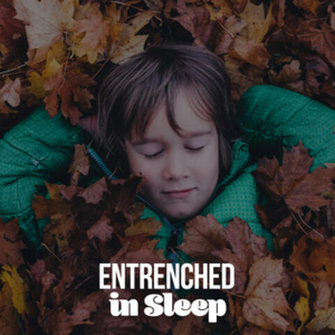Entrenched in Sleep
