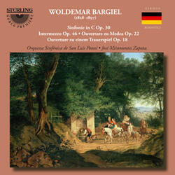 Sinfonie in C Major fur Orchester, Op. 30: II. Andante con moto - Molto tranquillo - a tempo
