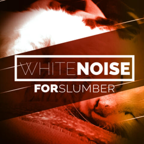 White Noise for Slumber