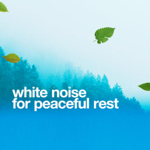 White Noise for Peaceful Rest