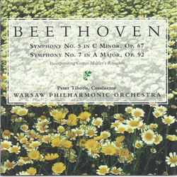 Symphony No. 5 In C Minor, Op. 67: III. Scherzo Allegro