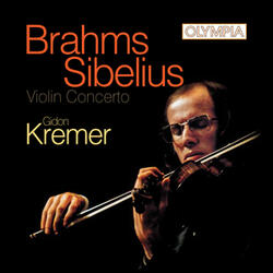 Violin Concerto in D Minor, Op. 47: I. Allegro moderato