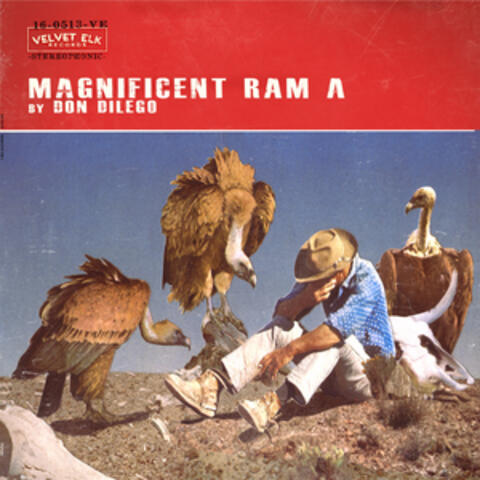 Magnificent Ram A