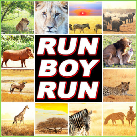 Run Boy Run