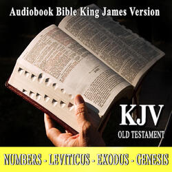 Leviticus Chapter 12
