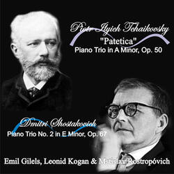 Piano Trio No. 2 in E Minor, Op. 67: III. Largo