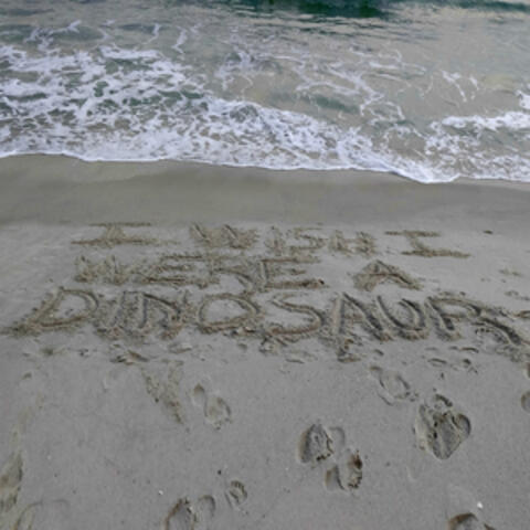 Re Ed U Cation of a Dinosaur