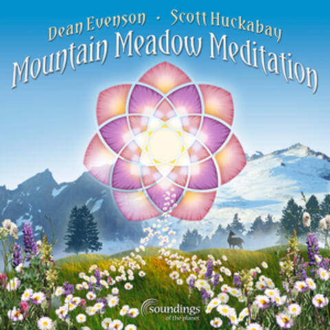 Mountain Meadow Meditation