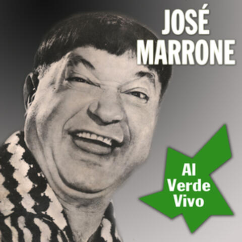 Al Verde Vivo