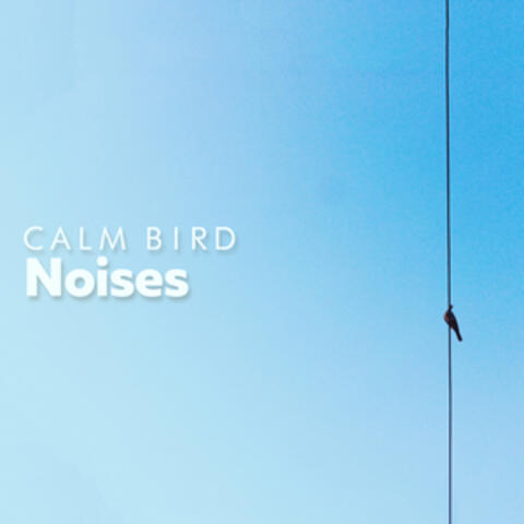 Calm Bird Noises