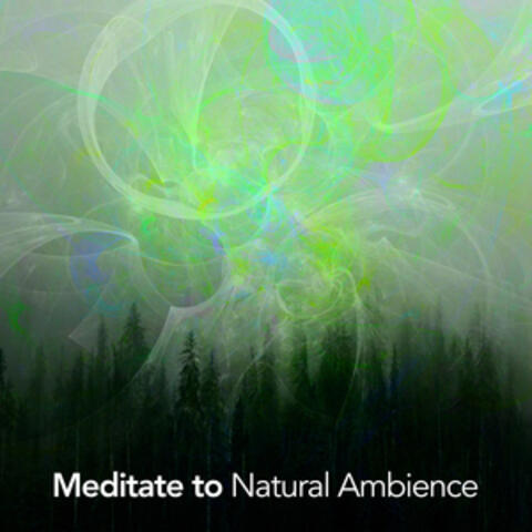 Meditate to Natural Ambience