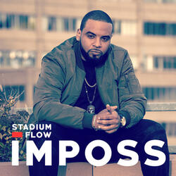 Stadium Flow (VF)