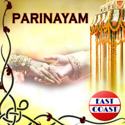 Allipoovin Kalyanam (From "Punjabi House")