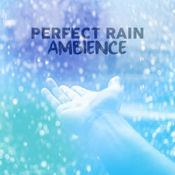 Raindrops on Window