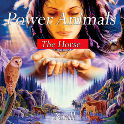 Power Animals - The Horse