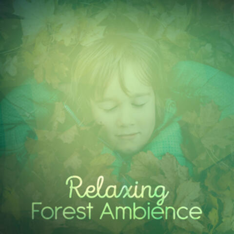 Relaxing Forest Ambience