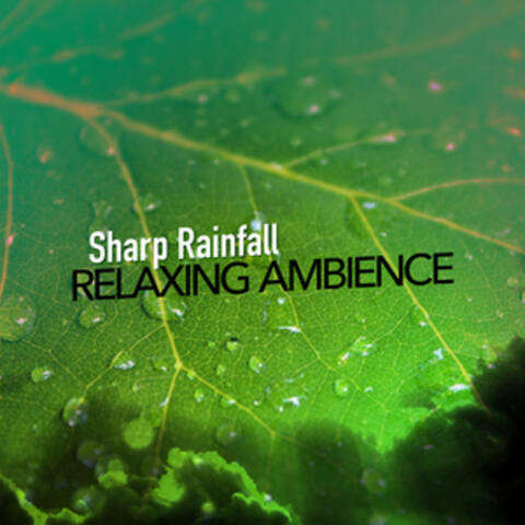 Sharp Rainfall: Relaxing Ambience