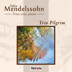 Trio en do mineur, Op. 66, MWV Q33: I. Allegro energico e con fuoco