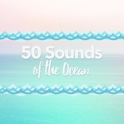 50: Sounds of the Ocean