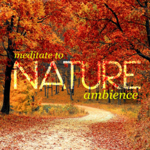 Meditate to Nature Ambience
