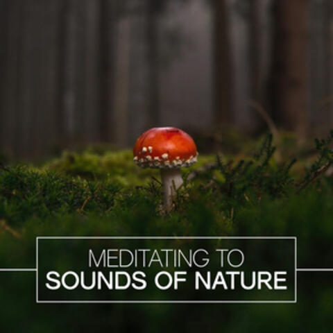 Meditating to Sounds of Nature