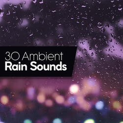 Rain Day